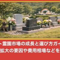 画像273