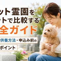 画像454