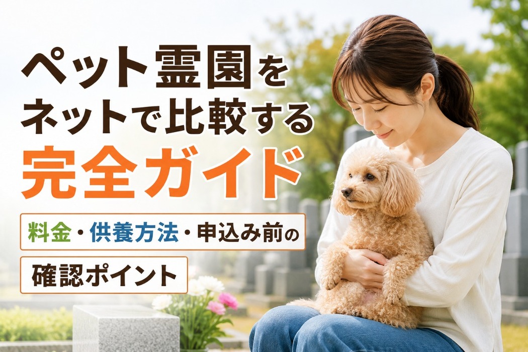 画像454