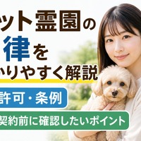 画像468