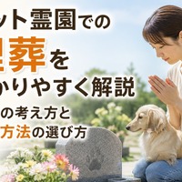 画像486