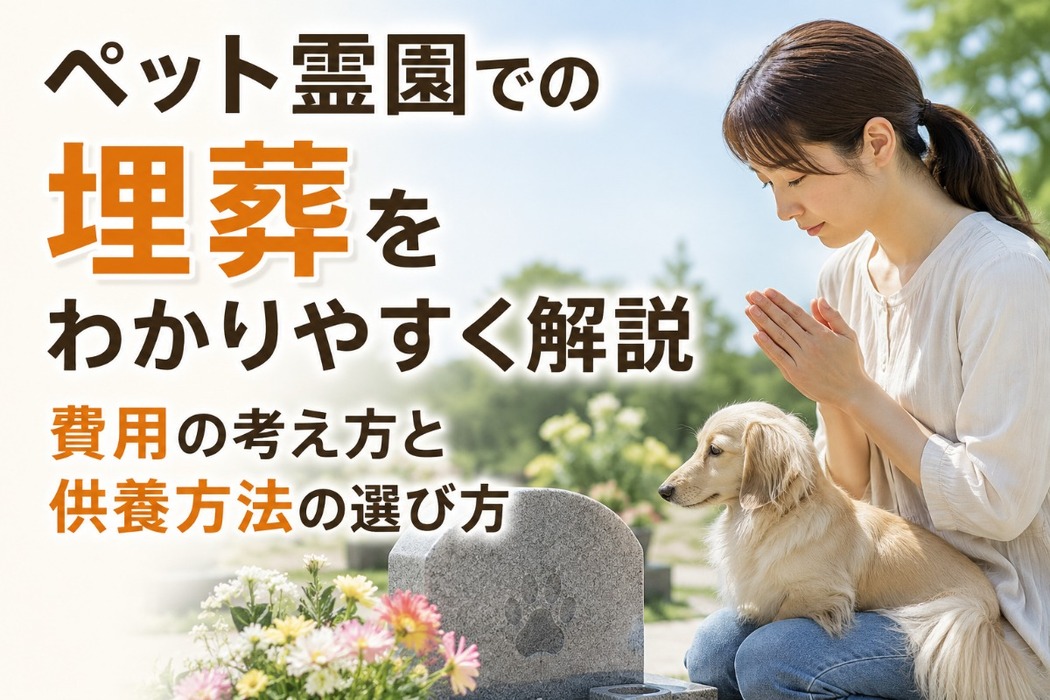 画像486