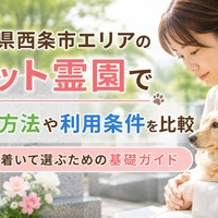 画像502