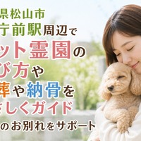 画像526