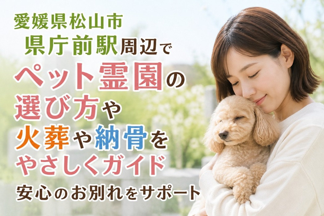 画像526