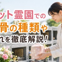 画像564