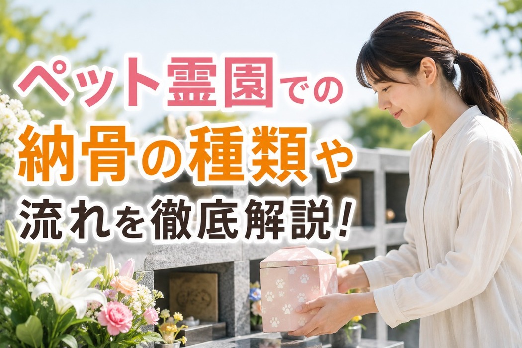 画像564