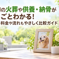 画像612