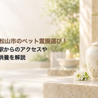 画像628