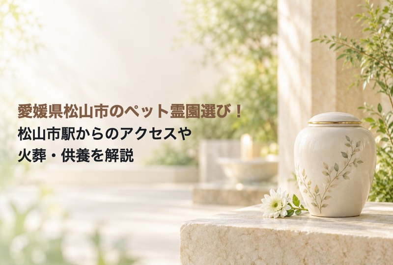 画像628：愛媛県松山市のペット霊園選び！松山市駅からのアクセスや火葬・供養を解説
